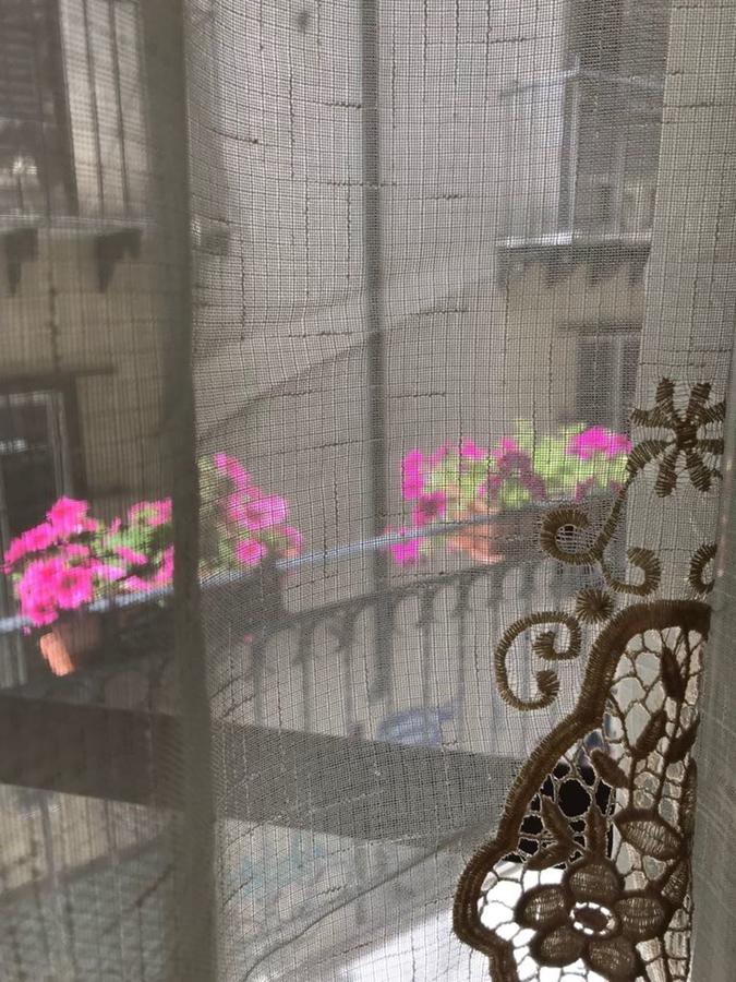 Sunflower Garden 팔레르모 외부 사진